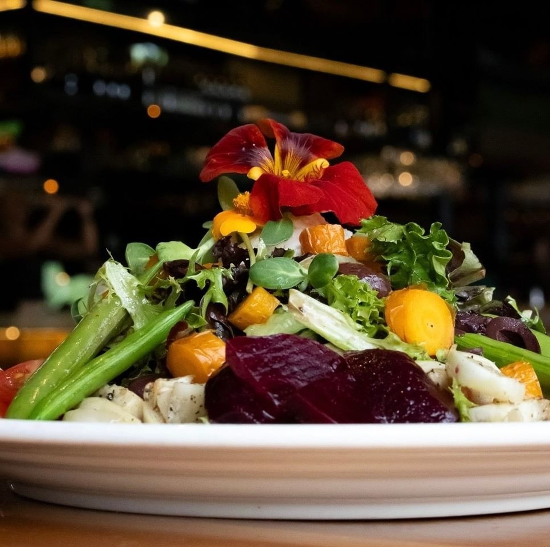 Starters & Salads