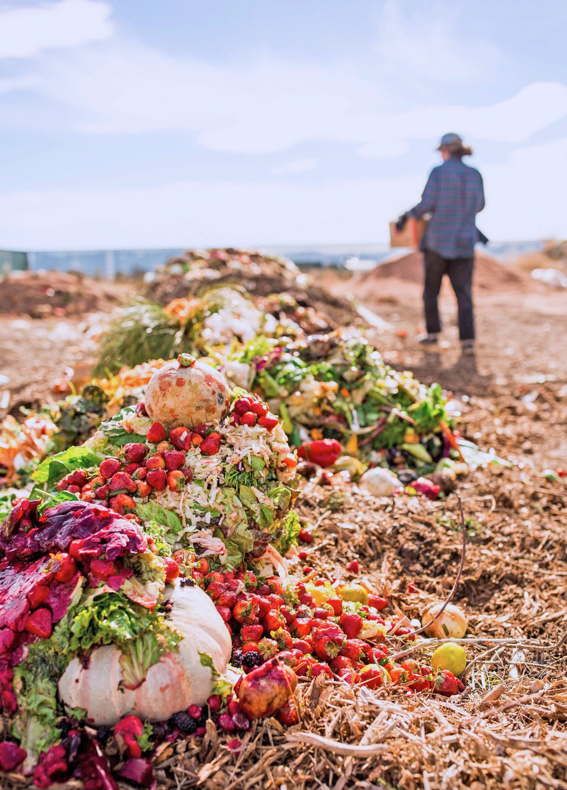 Progressive Composting