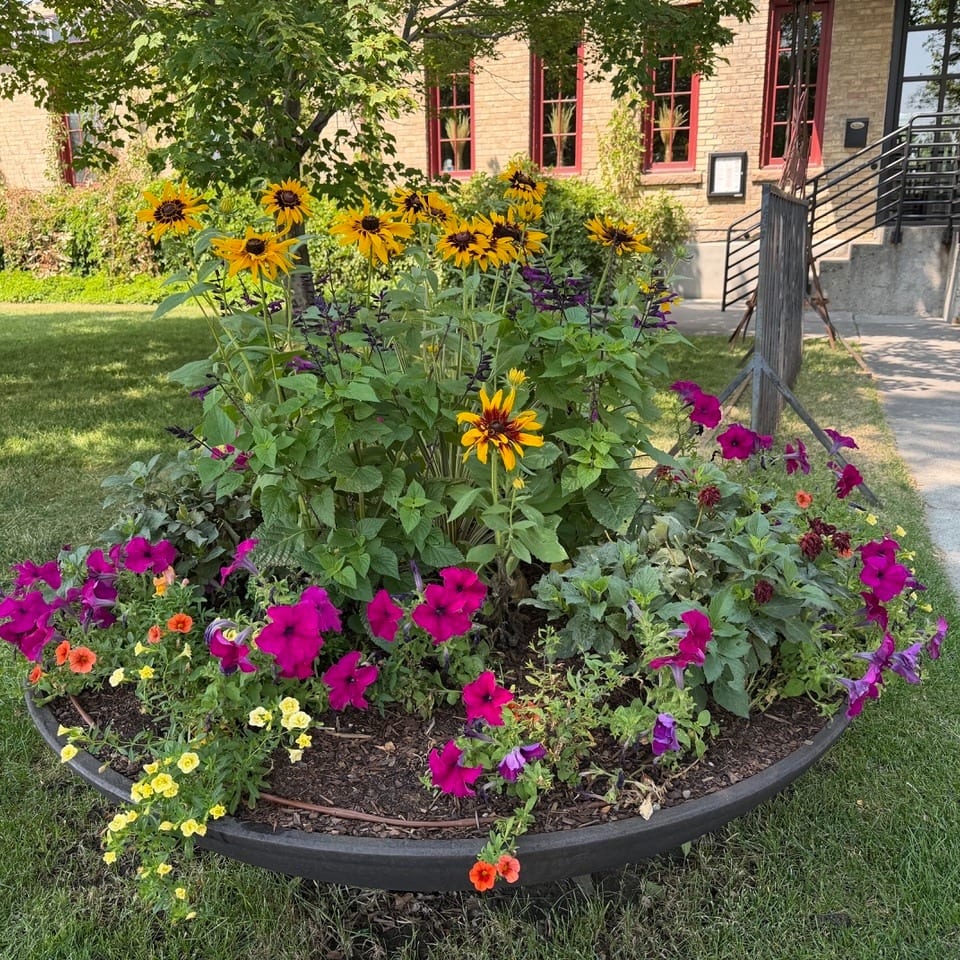 A large flower bed with yellow, pink, and orange flowers sits in front of a brick building.