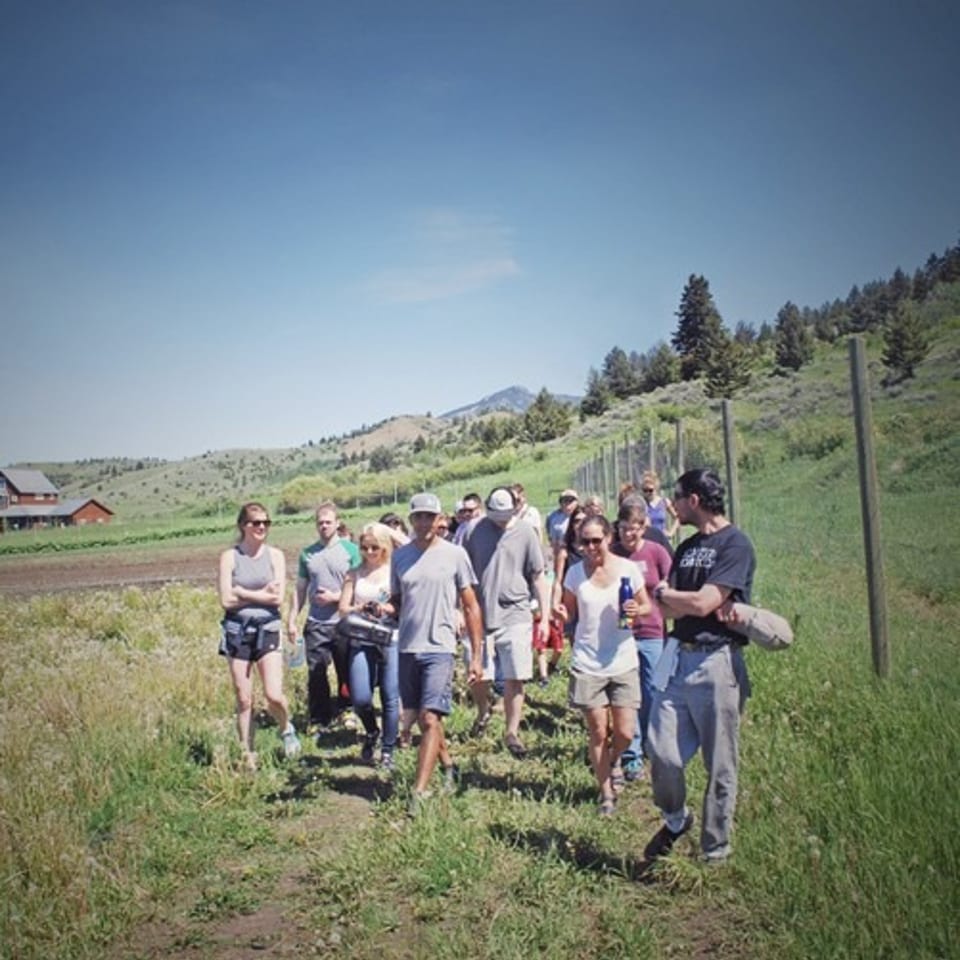 A group of people walk on a grassy path with hills and trees under a clear sky.